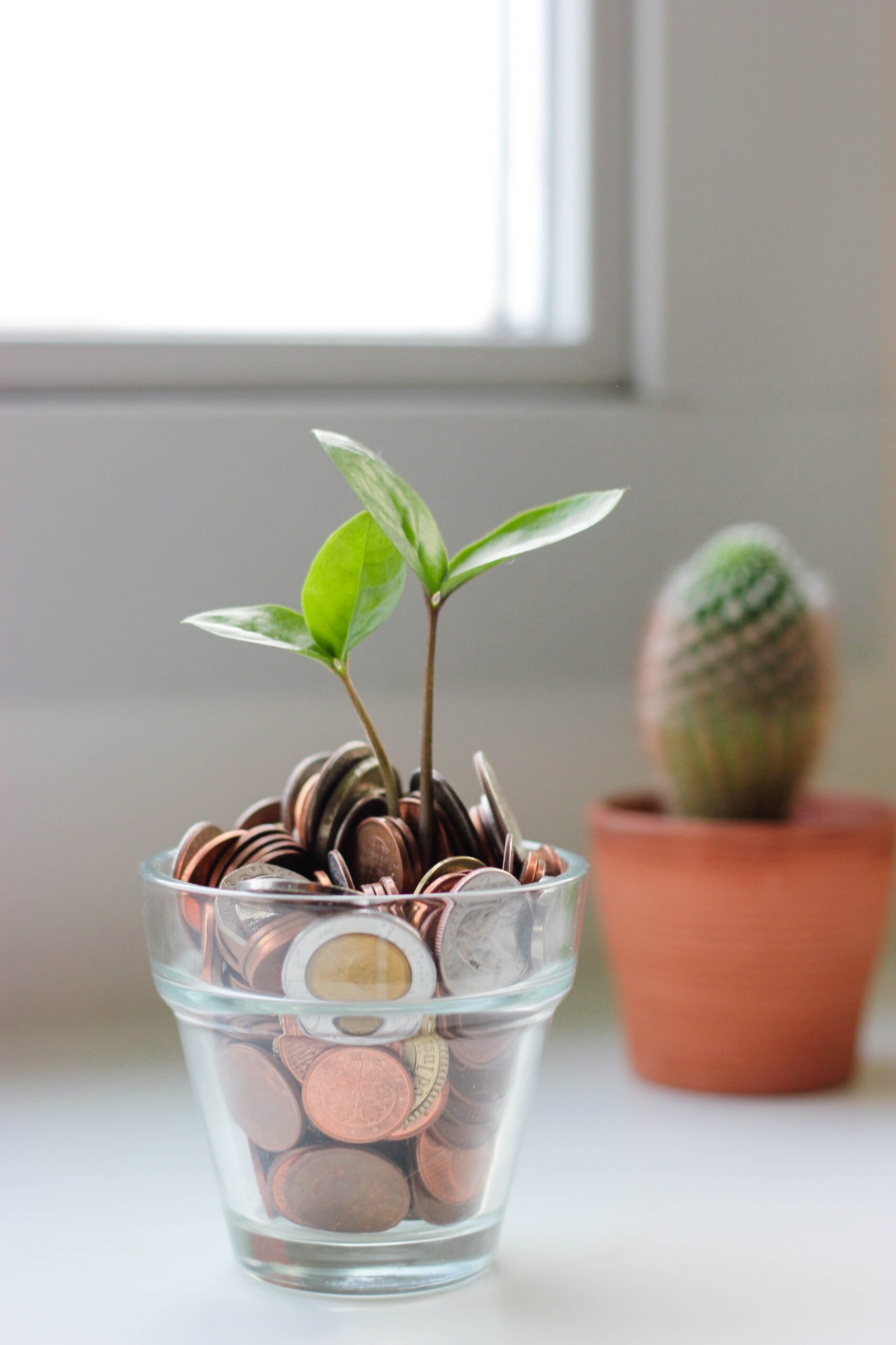plant out of coins vert