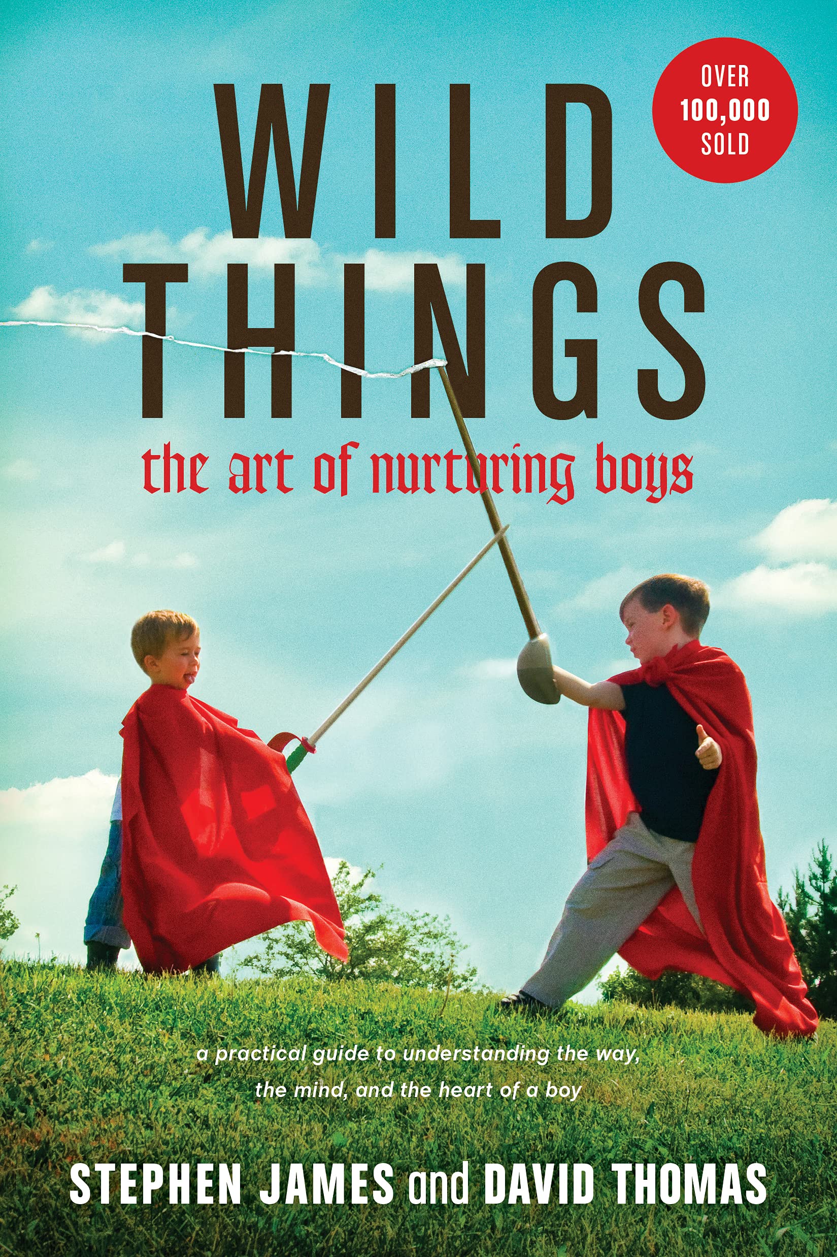 parenting book raising boys